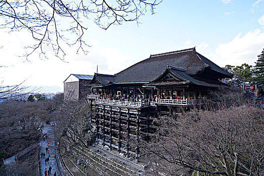 麦克奈因在哪里买得到162-162863