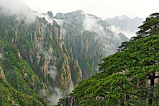 乖水药在哪里可以买到C1B8D97C5-18975